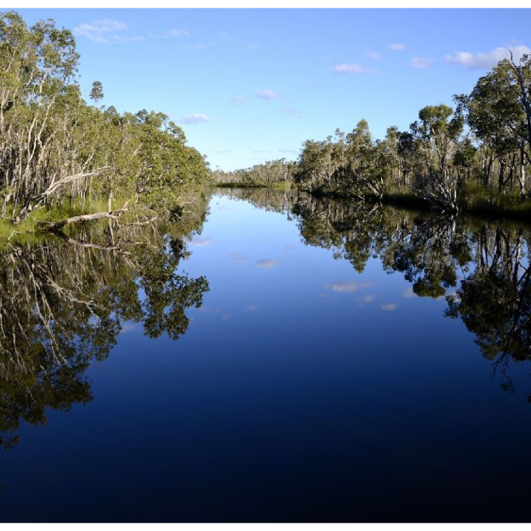 Noosa Everglades 768x768