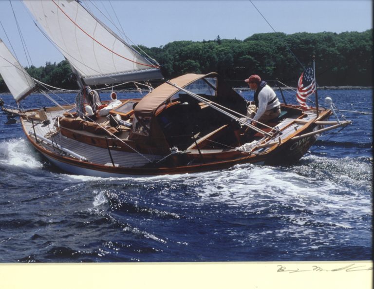 OWL Benji crop 2251 Resized  768x593