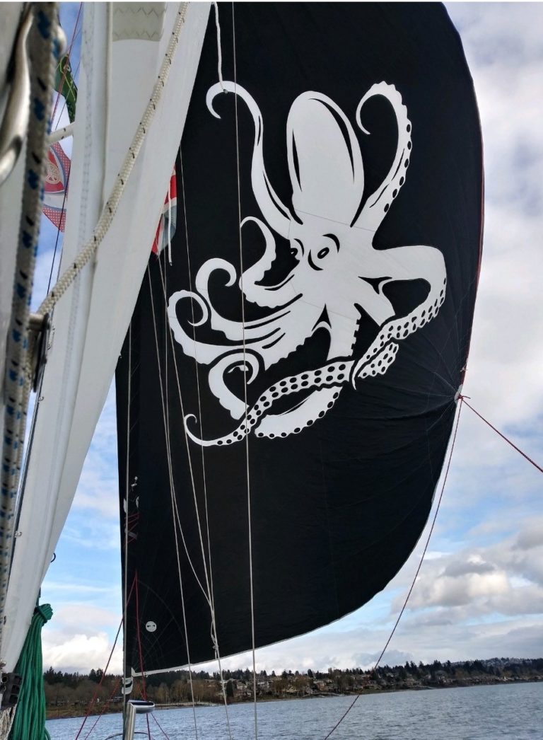 Octopus 2 1 768x1046