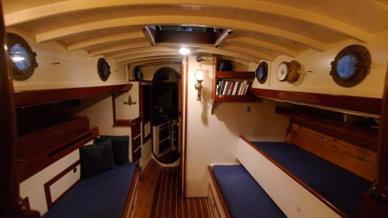 Owl 19 1020311 Resized  768x432