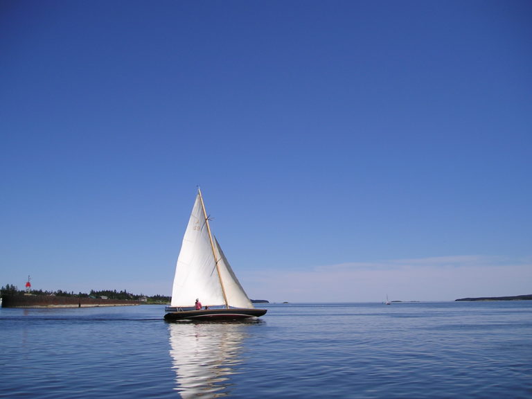 P1010007  pisces 768x576