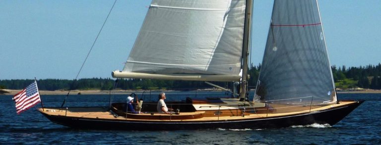 P1020014 EDIT ZOOM 1 768x293