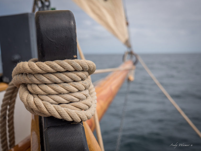 P1140215 Unity 768x576