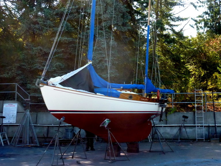 P1140382 002 768x576