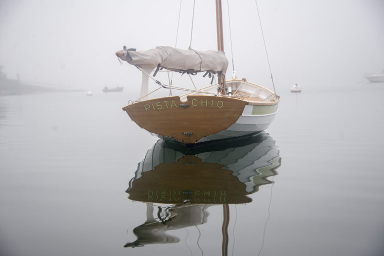 PISTACHIO 07 768x513