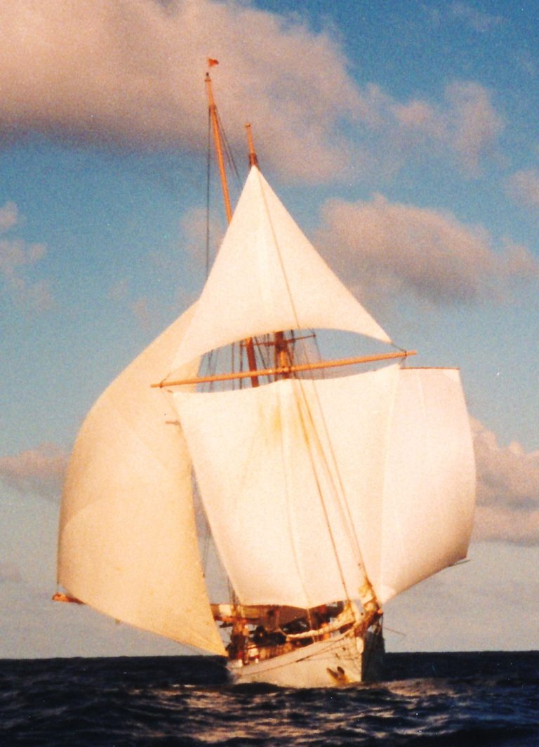 Panana Galapogos big jib  768x1064