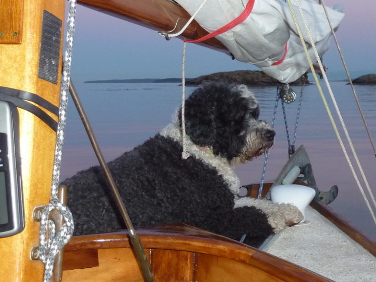 Pancho at Portland anchorage 768x576