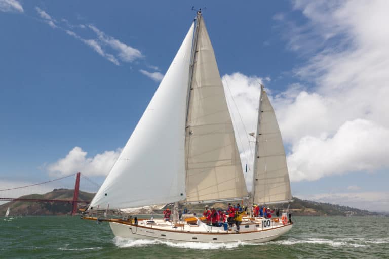 Pegasus MM 2011 768x512