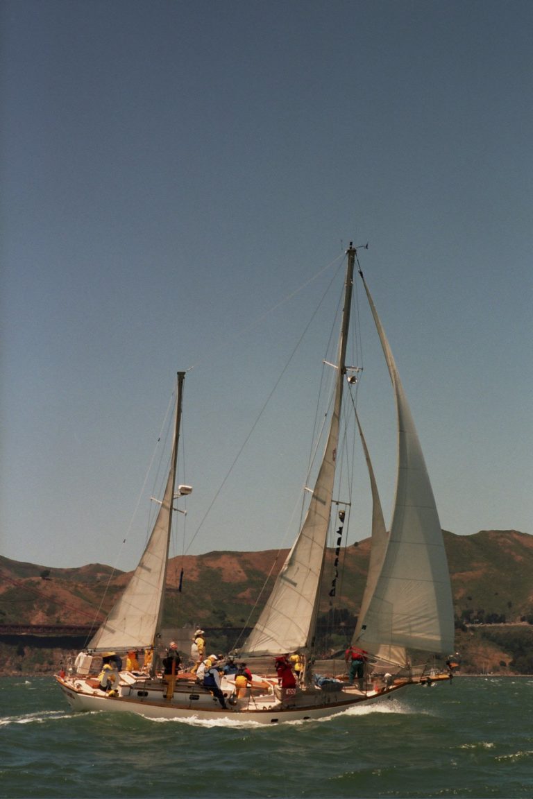 PegasusMM20041 768x1152