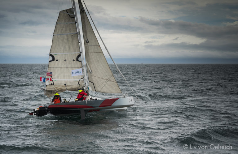 Phocoena Liv von Oelreich 768x498