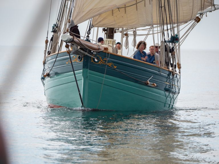 Pilot Cutter Review 2019 P1260506 768x576