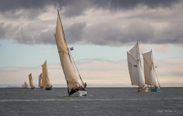 Pilot Cutter Review 2019 P1260584 768x488