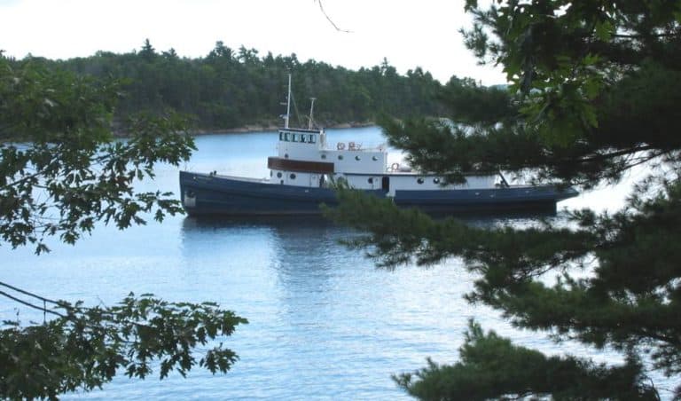 Prescotont in Trees 768x452