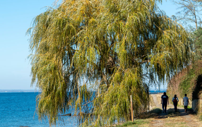 Private Beach at Webb Institute 768x486