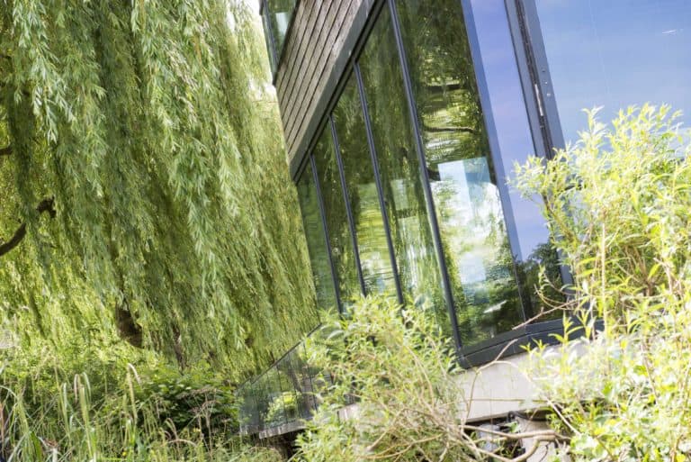 RRM External Image 768x513