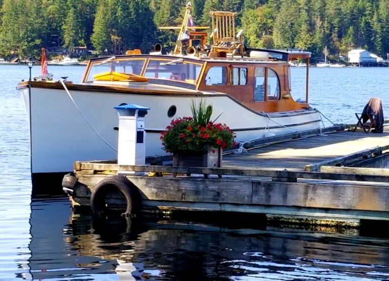 Resized 20200826 142528 768x555