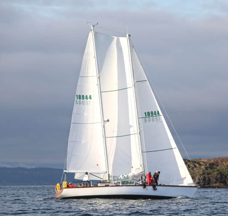 Round the County 2018 2 768x730