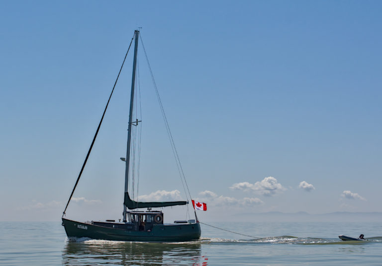 SEA 2361 crop 768x536