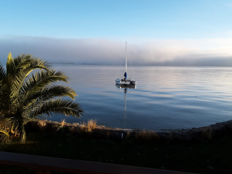 SF Bay fog Jan 21 resize 768x576