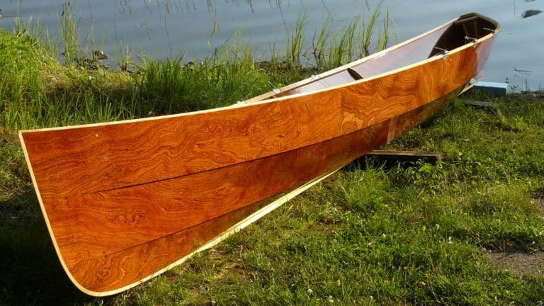 Sapeli 21 ft 768x432