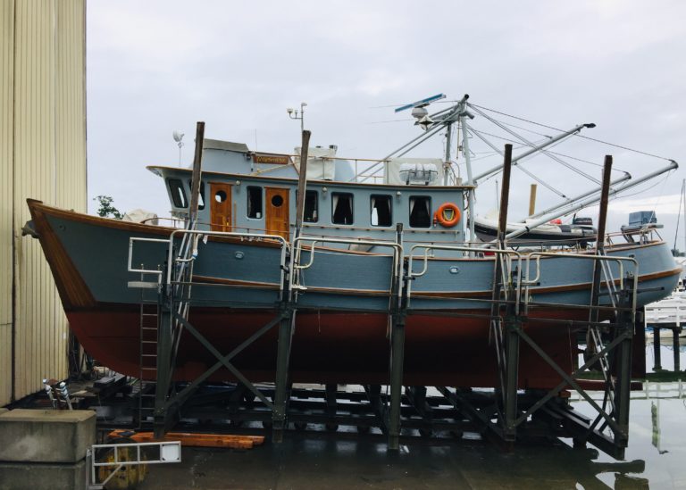 Sayonara haul out 768x549