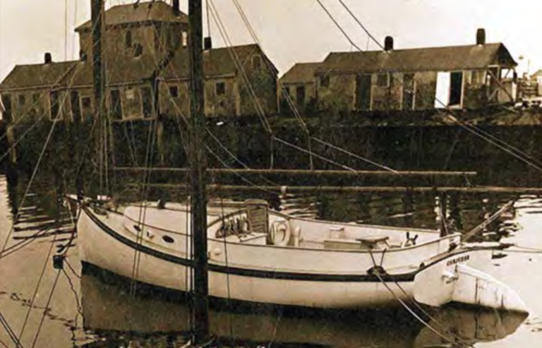 Screen Shot 2021 02 11 at 11.22.07 AM 768x493