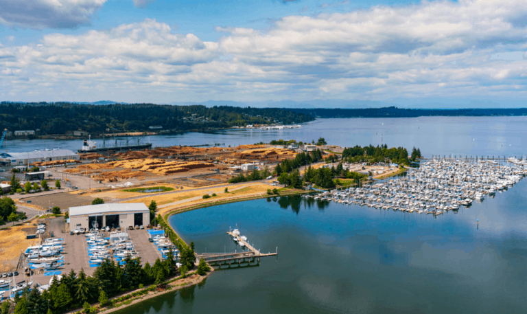 Screenshot 2021 02 10 103933 768x457