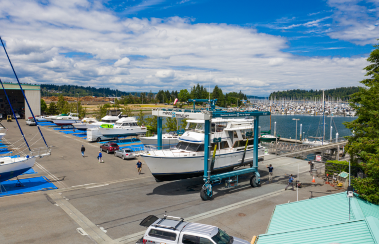 Screenshot 2021 02 10 104034 768x494