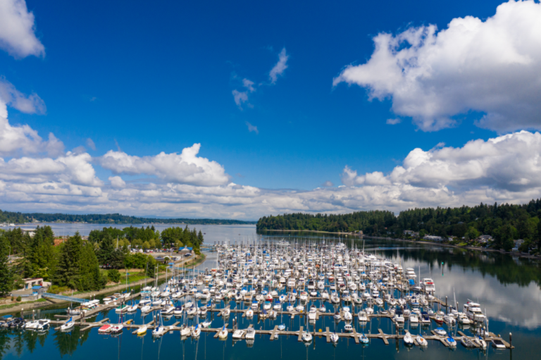 Screenshot 2021 02 10 104103 768x511