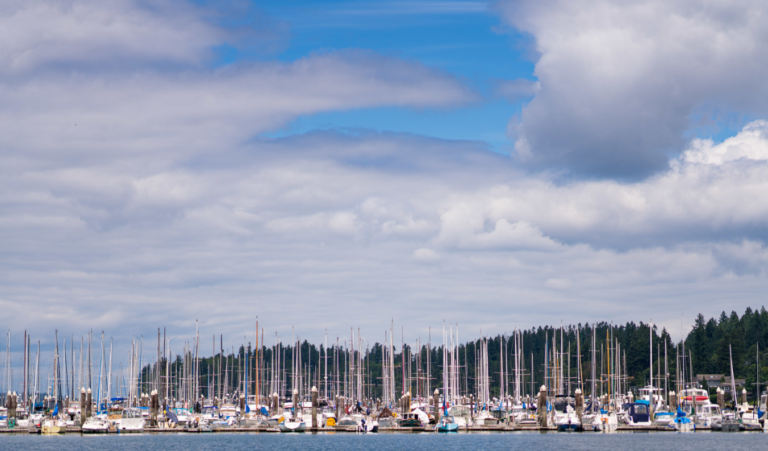 Screenshot 2021 02 10 104621 768x451