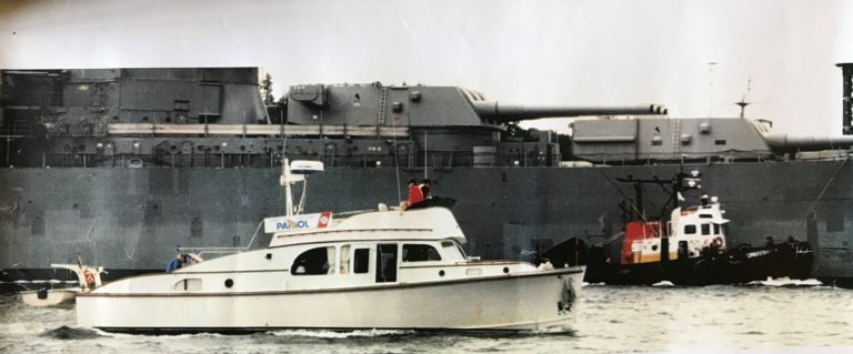 Sea Nymph II 3 2 768x319