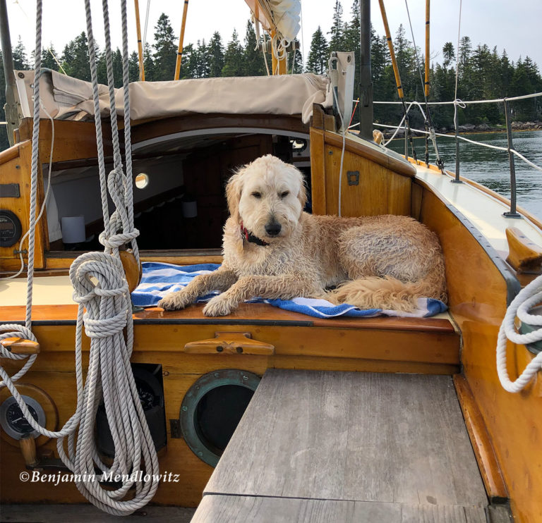 Starlight Cockpit IMG 9385 768x742