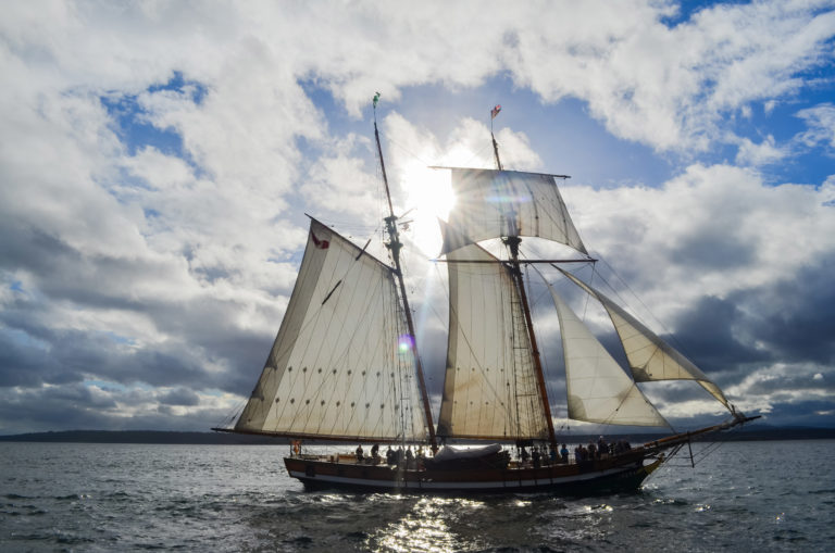 Swift 2013 resized 768x509