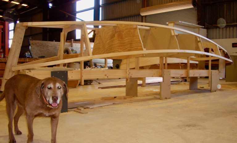 Tempo build 2 1 768x464