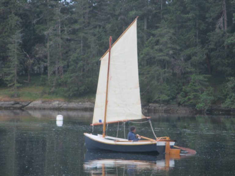 Truant in the rain 768x576