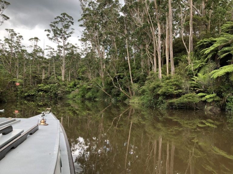 UNADJUSTEDNONRAW thumb 10ee9 768x576