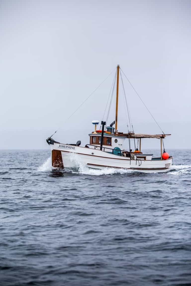 U Xvn8jA 1 1 768x1152