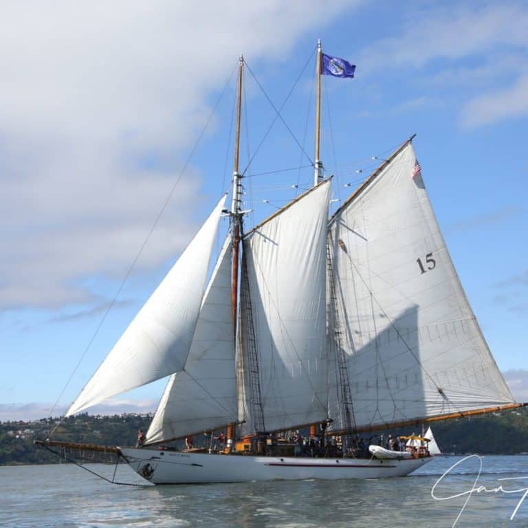 Untitled design 20 768x768