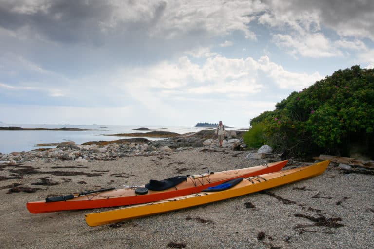 Willow Quickbeam on Harbor 768x512