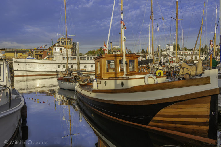 Wooden Boat Festival Mitchel Osborne 768x512