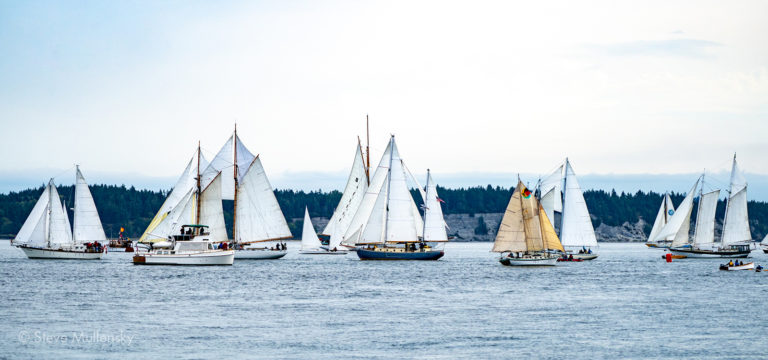 Wooden Boat Festival Steve Mullensky 768x360