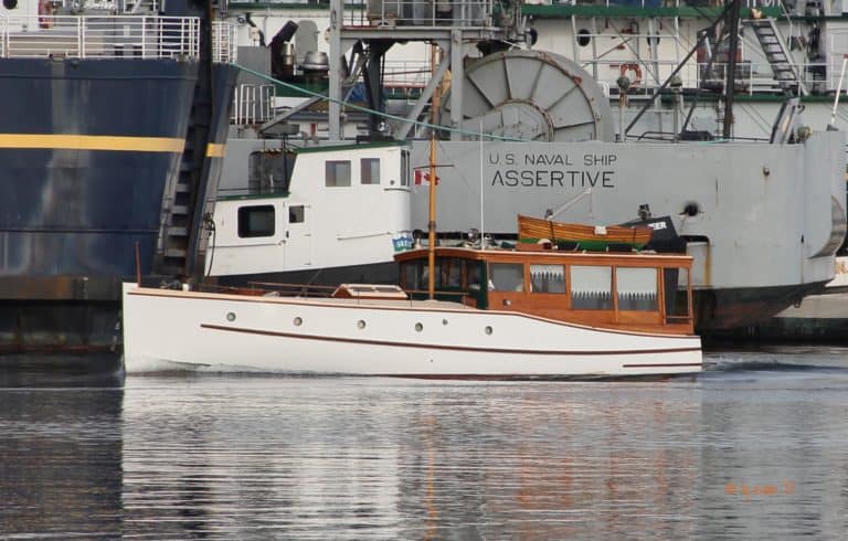 Zella C Assertive 768x490