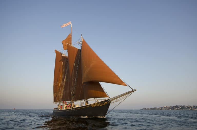 copyright Jenny Villone 2 4 768x509