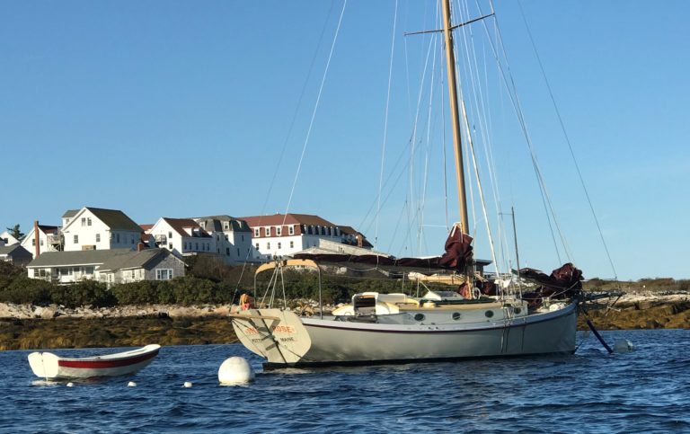 crop IMG 4106 768x483