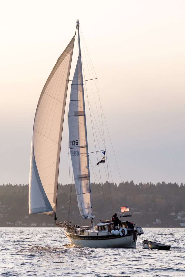 crownovember 18 768x1152