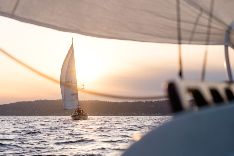 crownovember 19 1 768x512