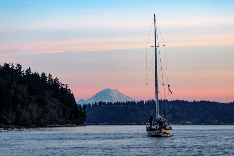 crownovember 20 768x512