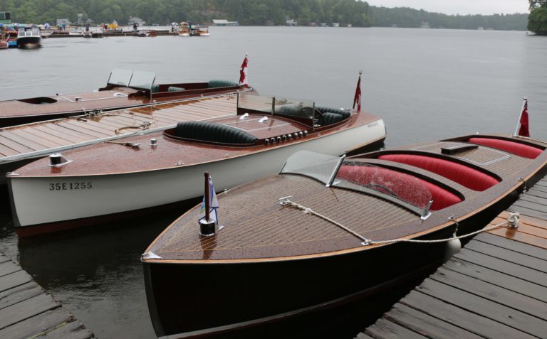 gastby and merganserb 768x477