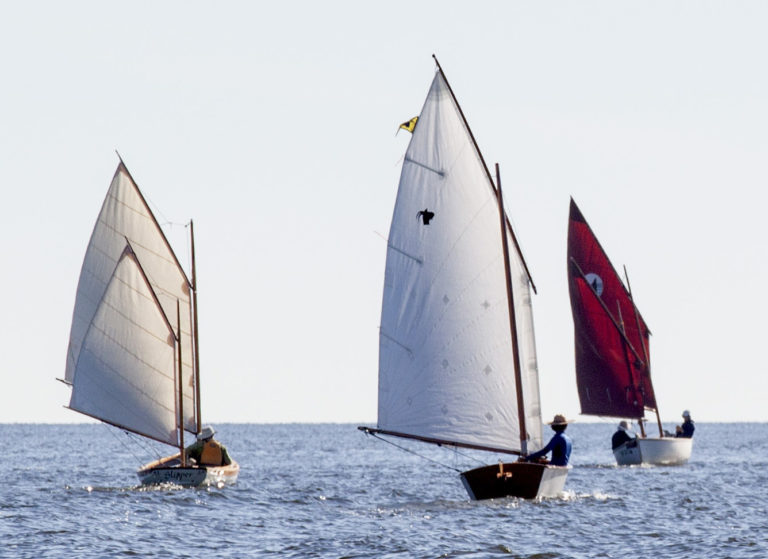 goat coqunia sea pearl 768x559