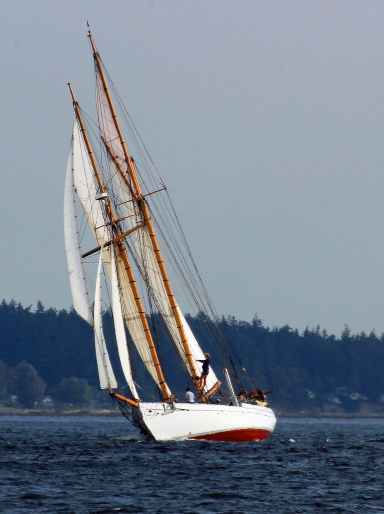 going to weather 768x1029